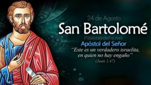 Hoy celebramos la fiesta de San Bartolomé, apóstol de Cristo